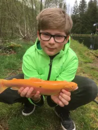 Friesenweiher (Wallhalben)-2