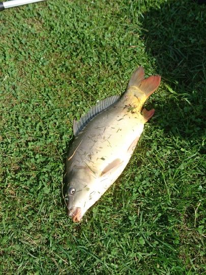 Kalkloch Ferdinandshof-2