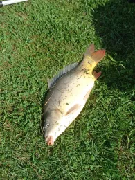 Kalkloch Ferdinandshof-2