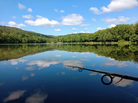 Amtsteich Vatterode-2