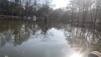 Angelteiche am Alsdorfer Tierpark-3