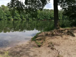 Schampsee (Lehnin)-1