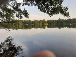 Fauler See (Schwerin)-1