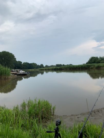 Oste (Hechthausen)-3