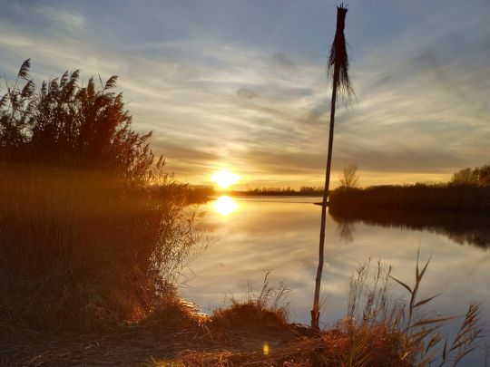 Oste (Hechthausen)-2
