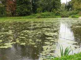 Alte Badeanstalt Jahrstedt-2