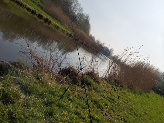 Vechte (Nordhorn)-3