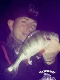 Spree (Sohland an der Spree)