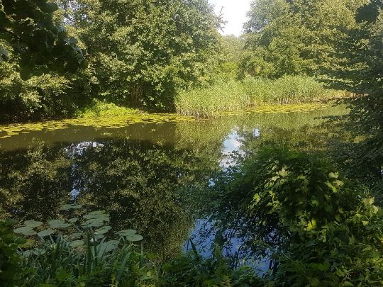 Finowkanal (Finowfurt)-4