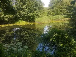 Finowkanal (Finowfurt)-4