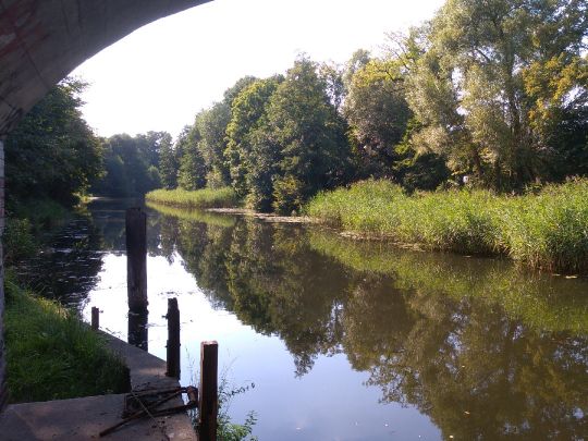 Finowkanal (Finowfurt)-2