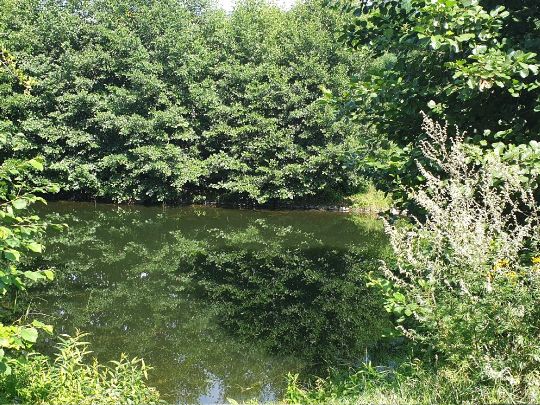 Finowkanal (Finowfurt)-3