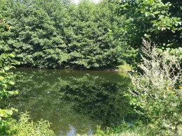 Finowkanal (Finowfurt)-3