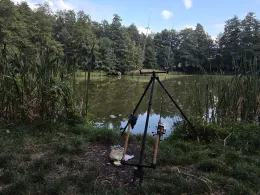 Heidehofteich (Weinböhla)-2