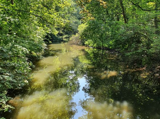 Elstermühlgraben (Leipzig)-2