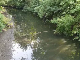 Elstermühlgraben (Leipzig)-4