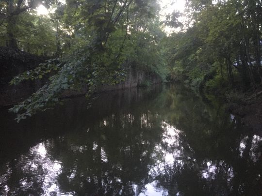 Elstermühlgraben (Leipzig)-3