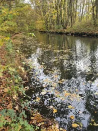 Elstermühlgraben (Leipzig)