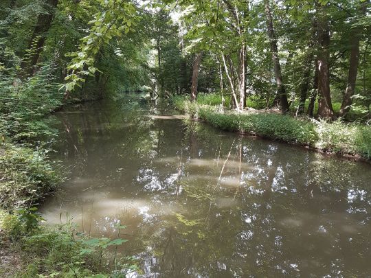 Wyhra (Frohburg)
