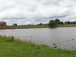 Eider (Friedrichstadt)