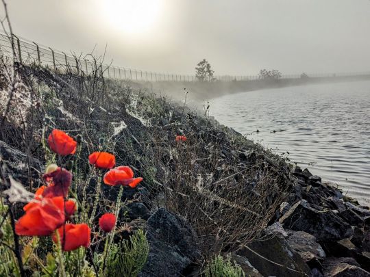 Staubecken Niederwartha-1