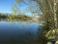 Penkwitzer See (Spora)-4