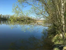 Penkwitzer See (Spora)-4