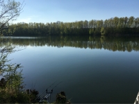 Penkwitzer See (Spora)-1