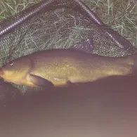 Peenekanal (Neukalen)-1