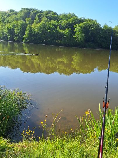 Ohmbachsee (Schönenberg)-4