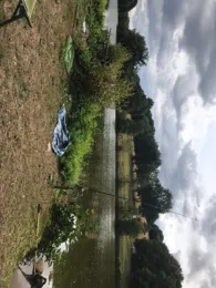 Ohmbachsee (Schönenberg)-3