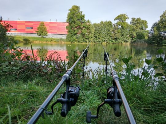 Großmanns-Teich (Großröhrsdorf)-2
