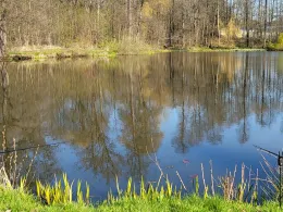 Großmanns-Teich (Großröhrsdorf)-4