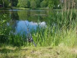 Großmanns-Teich (Großröhrsdorf)-1