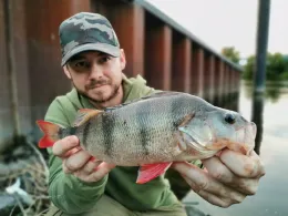 Elbe (Hamburg-Altona)