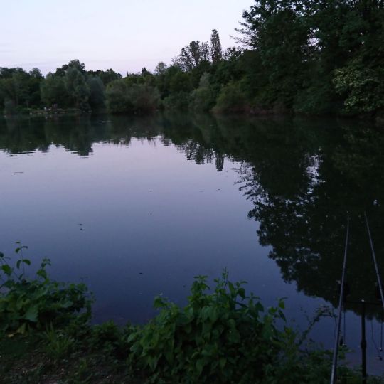 Schäferhauser See (Wendlingen) angeln