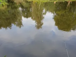 Helga's Forellenteiche-2