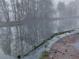 Helga's Forellenteiche