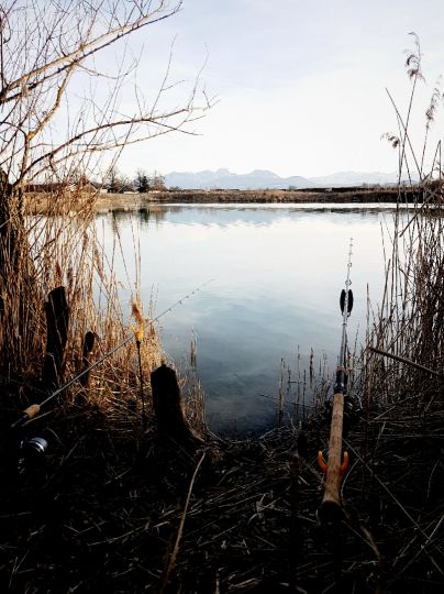 Höglinger Weiher-2