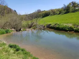 Biber (Tengen-Büßlingen)