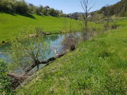 Biber (Tengen-Büßlingen)-1