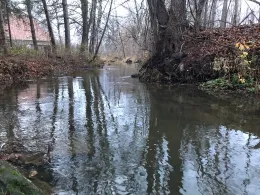 Kleine Spree (Lippitsch)-2