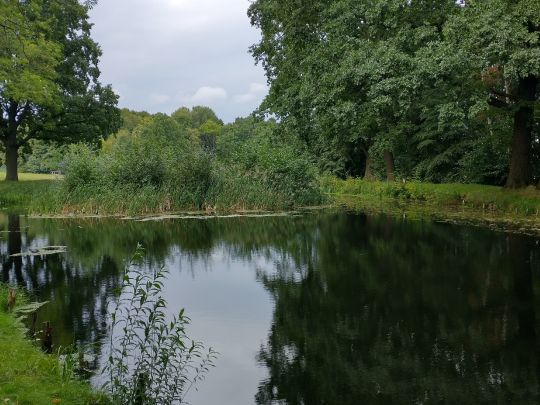 Försterteich Großröhrsdorf-1