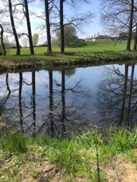 Försterteich Großröhrsdorf