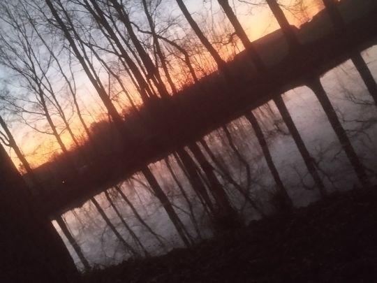 Försterteich Großröhrsdorf-3