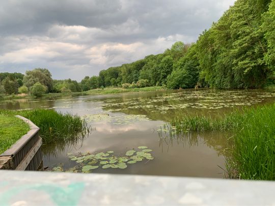 Mühlenteich hinterste Mühle-4