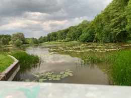 Mühlenteich hinterste Mühle-4