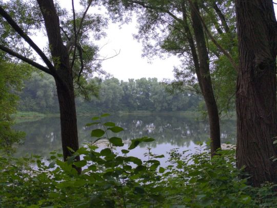 Teich an der Bünder Straße (Löhne)-1