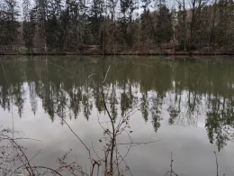 Zechenteich Großschirma-4