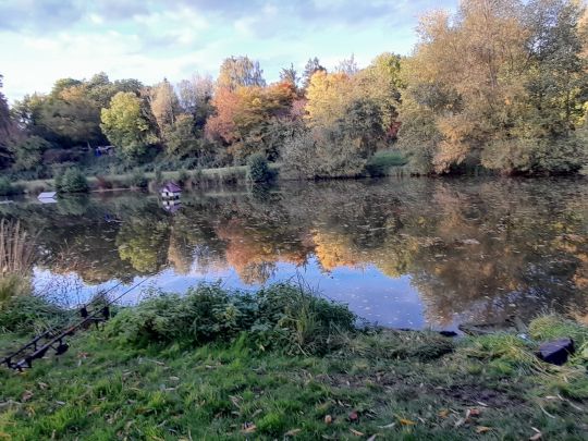 Däberitz Teich (Mutzschen)-1